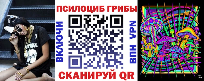 даркнет сайт Трубчевск Галлюциногенные грибы Psilocybe
