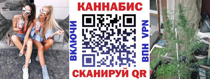 Бошки марихуана гибрид  darknet клад  Трубчевск 